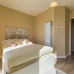 Pez Apartament